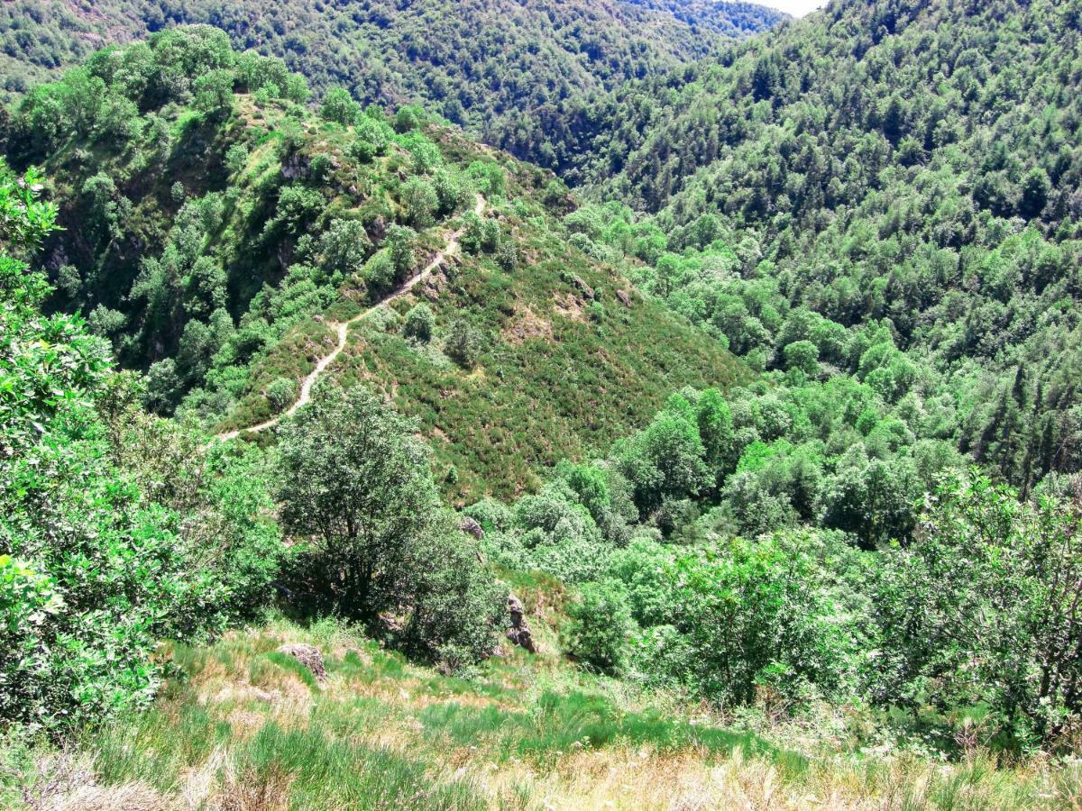 Le Bos Clard Villa Félines Exteriör bild